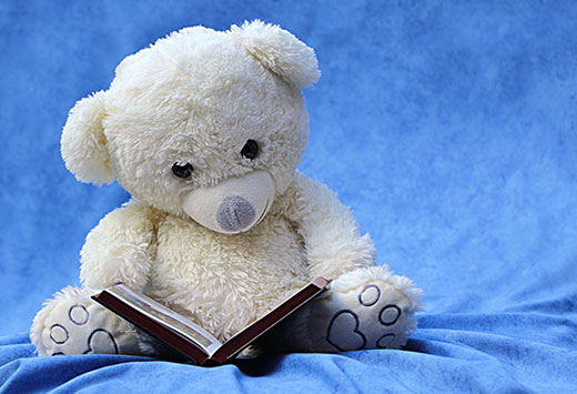 Teddy Bear Holding Adoption Story