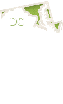 D.C. Adoption Laws