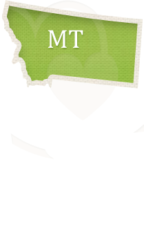 Montana Adoption Laws