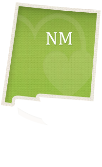 New Mexico Adoption Laws
