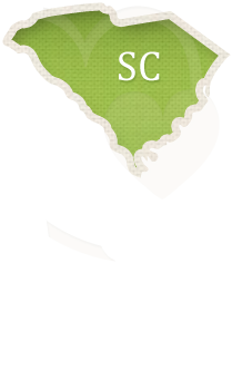 South Carolina Adoption Laws