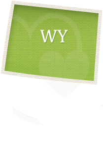 Wyoming Adoption Laws