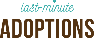 last-minute adoptions
